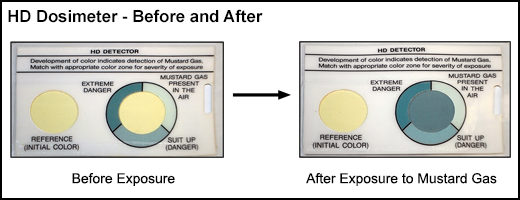 HD-08 Before and After