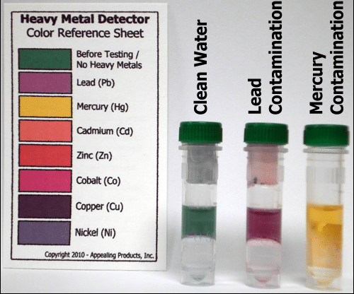 A Field Guide To Describing Soils in NYC