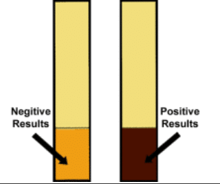 Original BOR detector response examples