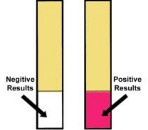 Original CHL detector response examples